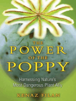 The Power of the Poppy: Harnessing Nature's Most Dangerous Plant Ally