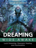 Dreaming Wide Awake