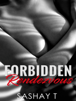 Forbidden Rendezvous