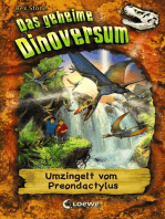 Das geheime Dinoversum (Band 17) - Umzingelt vom Preondactylus