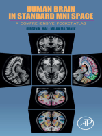 Human Brain in Standard MNI Space: A Comprehensive Pocket Atlas
