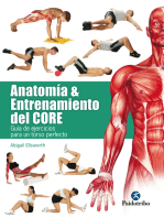 Anatomía y entrenamiento del core: Guía de ejercicios para un torso perfecto