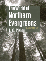 The World of Northern Evergreens