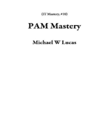 PAM Mastery: IT Mastery, #10