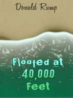 Floofed at 40,000 Feet