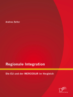 Regionale Integration: Die EU und der MERCOSUR im Vergleich