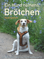 Ein Hund namens Brötchen