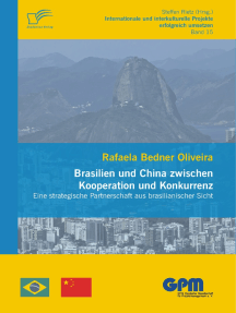 Brasilien und China zwischen Kooperation und Konkurrenz – Eine strategische Partnerschaft aus brasilianischer Sicht