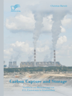 Carbon Capture and Storage: Verfahren zur Reduzierung von CO2-Emissionen in Kraftwerken