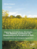 Eignung verschiedener Herkünfte von Silphium perfoliatum als Biogassubstrat im Vergleich zu Mais