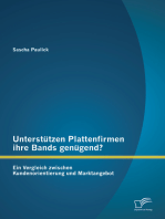 Unterstützen Plattenfirmen ihre Bands genügend? Ein Vergleich zwischen Kundenorientierung und Marktangebot