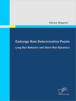 Exchange Rate Determination Puzzle