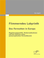 Flimmerndes Labyrinth: Das Fernsehen in Europa – Regulierungspolitik, Fördermaßnahmen und die Chancen eines paneuropäischen Fernsehkanals