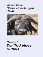 Raum 3 Der Tod eines Büffels