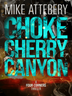 Chokecherry Canyon