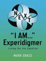 Next: "I Am..." Experidigmer: Living the Joy Equation
