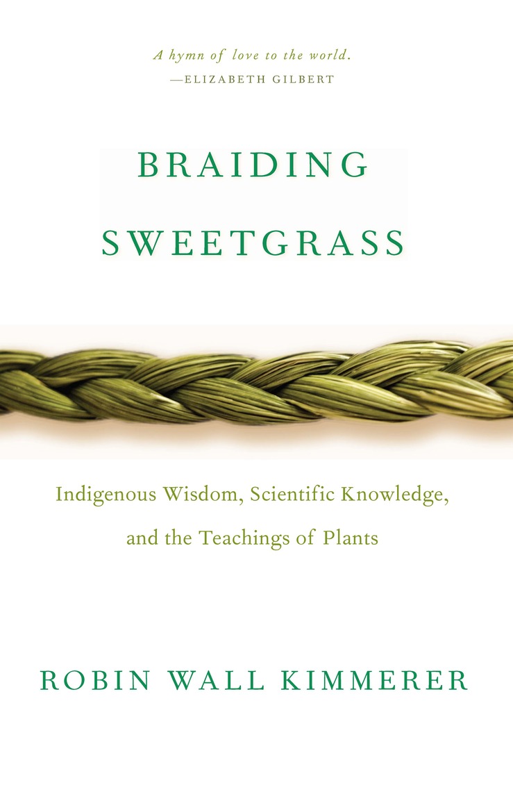 Braiding Sweetgrass by Robin Wall Kimmerer pic