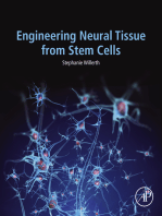 Engineering Neural Tissue from Stem Cells
