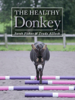Healthy Donkey