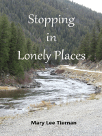 Stopping in Lonely Places