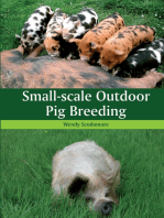 Small-scale Outdoor Pig Breeding