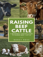 Raising Beef Cattle: A Beginner’s Starters Guide to Raising Beef Cattle