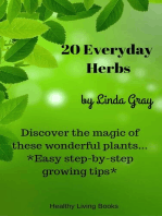 20 Everyday Herbs