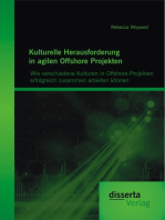 Kulturelle Herausforderung in agilen Offshore Projekten