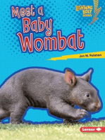 Meet a Baby Wombat