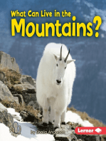 What Can Live in the Mountains?