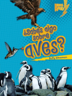 ¿Sabes algo sobre aves? (Do You Know about Birds?)