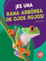 ¡Es una rana arbórea de ojos rojos! (It's a Red-Eyed Tree Frog!)