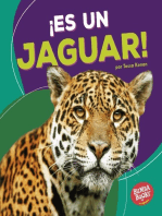 ¡Es un jaguar! (It's a Jaguar!)