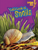 Let's Look at Snails