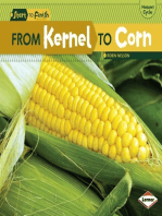 From Kernel to Corn