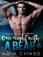 One Night With A Bear