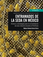 Entramados de la seda en México: Actores