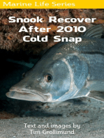 Snook Recover After 2010 Cold Snap