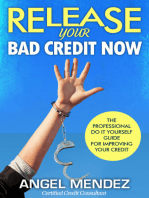 Release Your Bad Credit Now: The Professional Do It Yourself Guide For Improving Your Credit