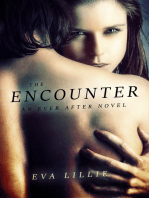 The Encounter: An Ever After Novel