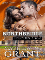 Northbridge Episodes One To Six (New Adult Contemporary Soap Opera Romantic Serial): Northbridge by Matthew W. Grant, #1