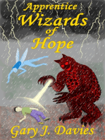 Apprentice Wizards of Hope