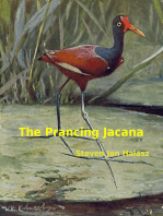 The Prancing Jacana