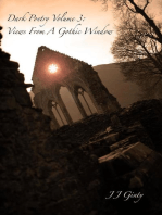 Dark Poetry, Volume 3: Views From A Gothic Window: Dark Poetry, #3