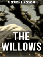 THE WILLOWS: A Supernatural Mystery