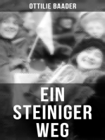 Ein steiniger Weg