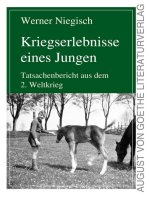 Kriegserlebnisse eines Jungen: Tatsachenbericht aus dem 2. Weltkrieg