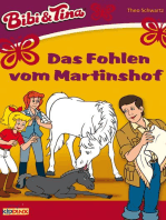 Bibi & Tina - Das Fohlen vom Martinshof: Roman zum Hörspiel