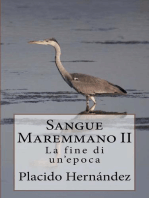 Sangue Maremmano II