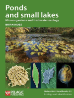 Ponds and small lakes
